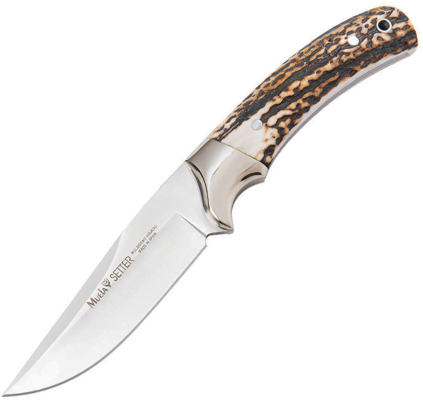 Setter-11A Fixed Blade Stag - MU043