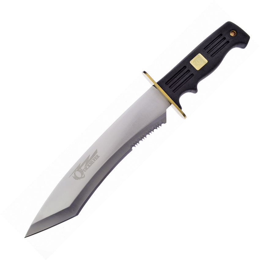 Bowie - FQS579