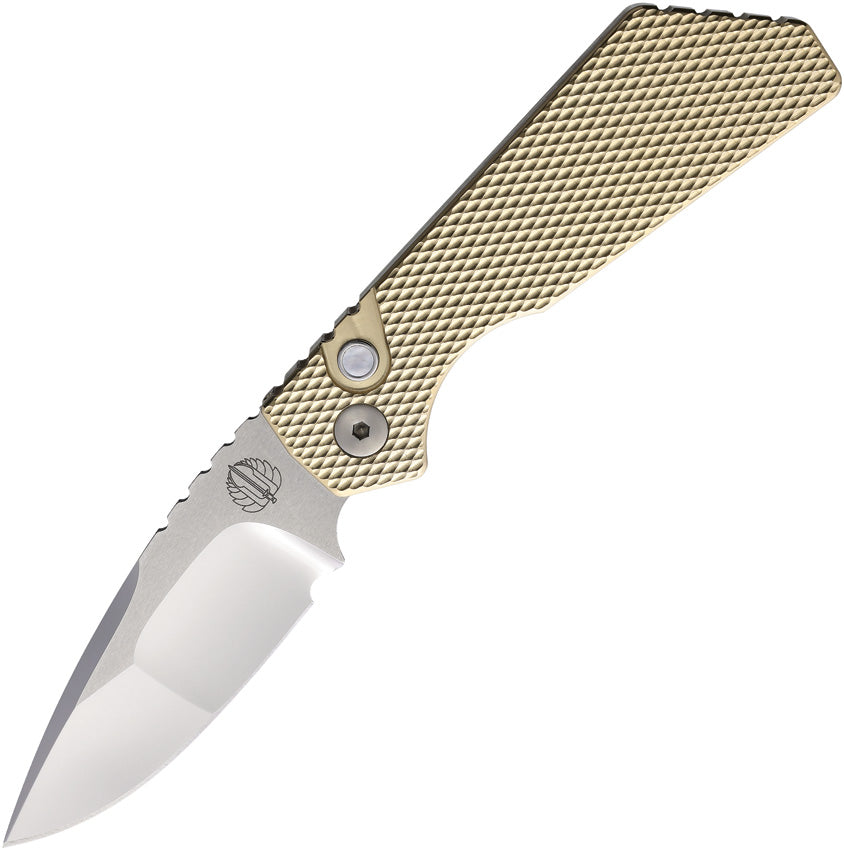 Auto 2024 Strider PT+ Gold - PTK2024PTC005