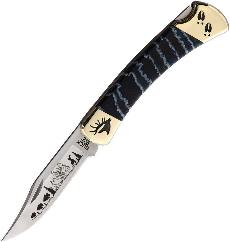 Custom Buck 110 Lockback - YH419