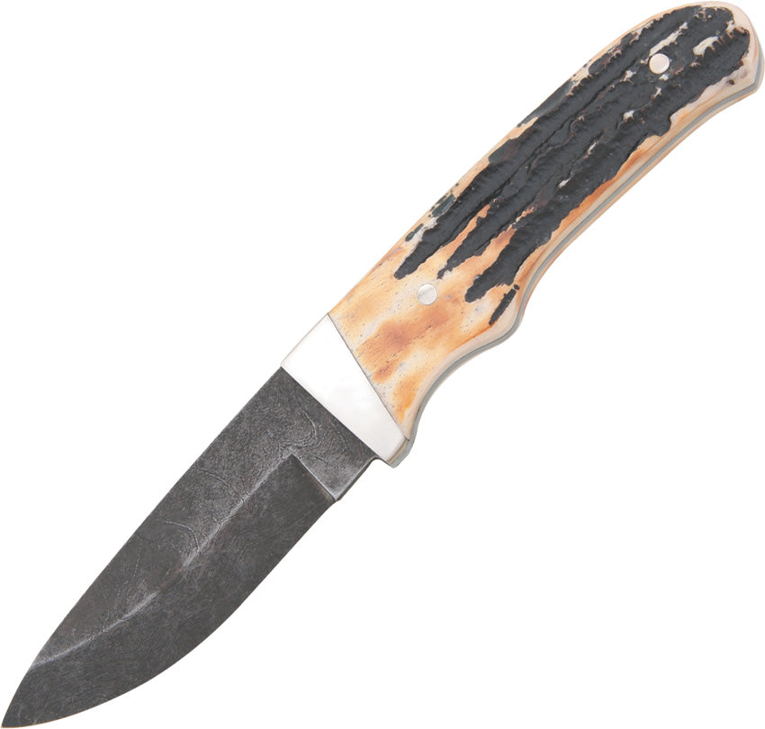Pro Skinner Stag - BC549D