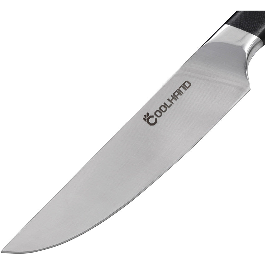 Steak Knife G10 Handle - CLH7195GG10