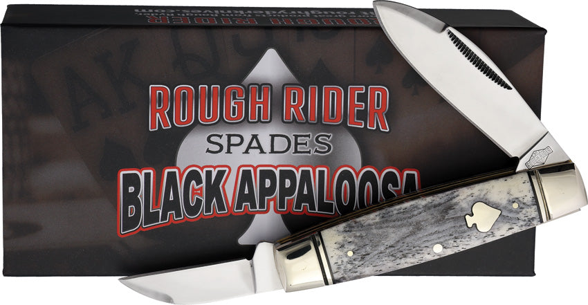 Black Appaloosa Senator - RR2488