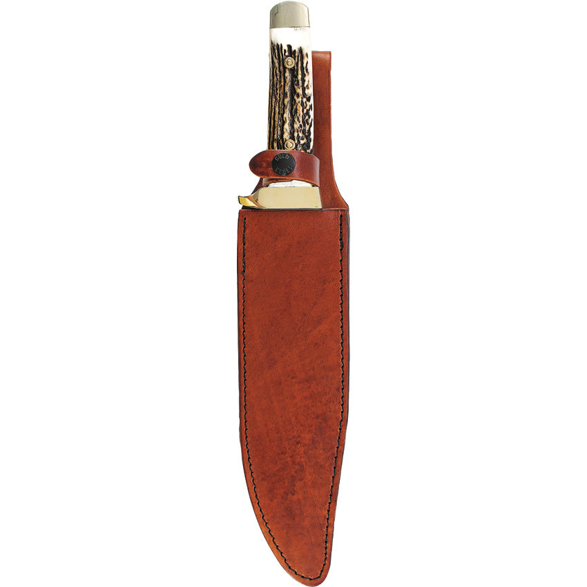 Stag Bowie - SCH184STUH