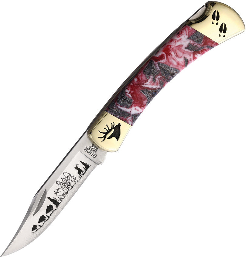 Custom Buck 110 Lockback - YH417