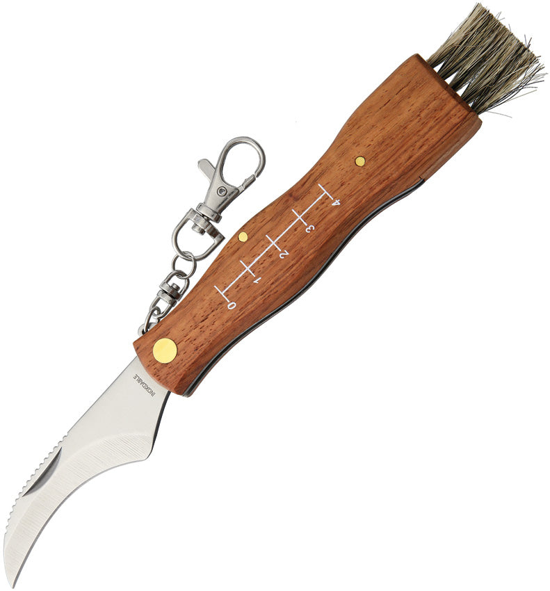 Mushroom Knife - MAM2590