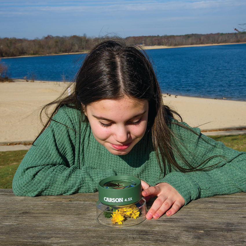 Bug Loupe Stand Magnifier - COHU55