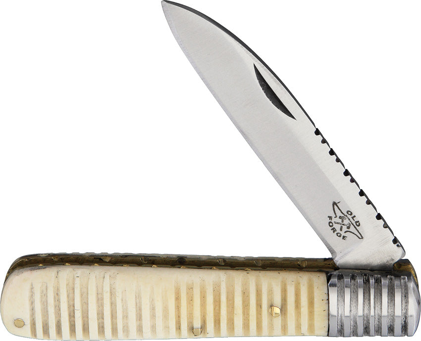 Barlow Grooved Bone - OF016