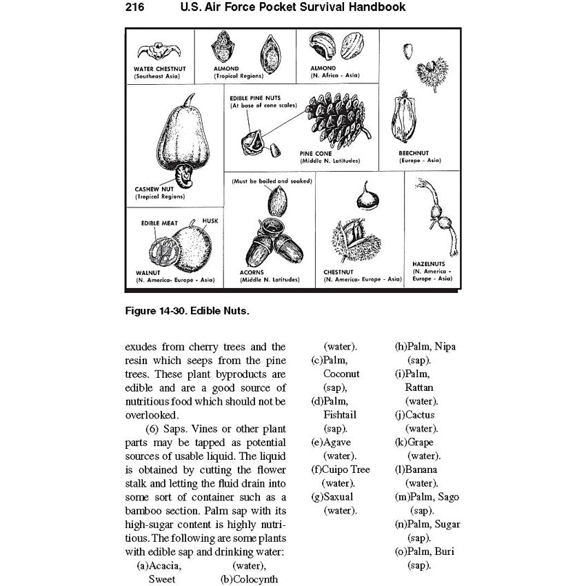 U.S. Air Force Pocket Handbook - BK467