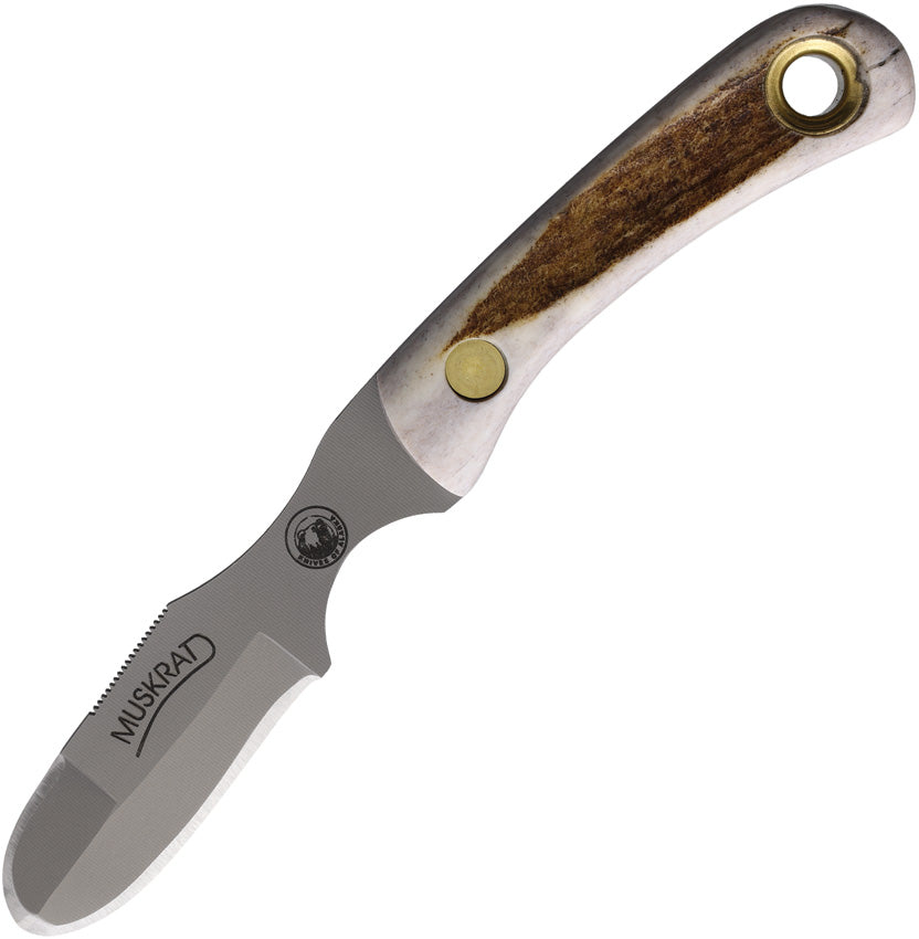 Muskrat Stag - KOA00091FG