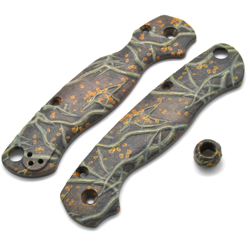 Para 2 Roots Scales - CHR10010701