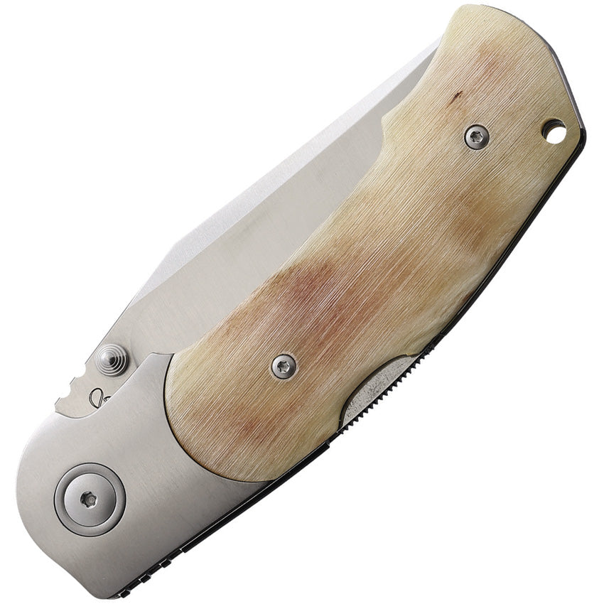 TURN Lockback Ram Horn - V5986MO