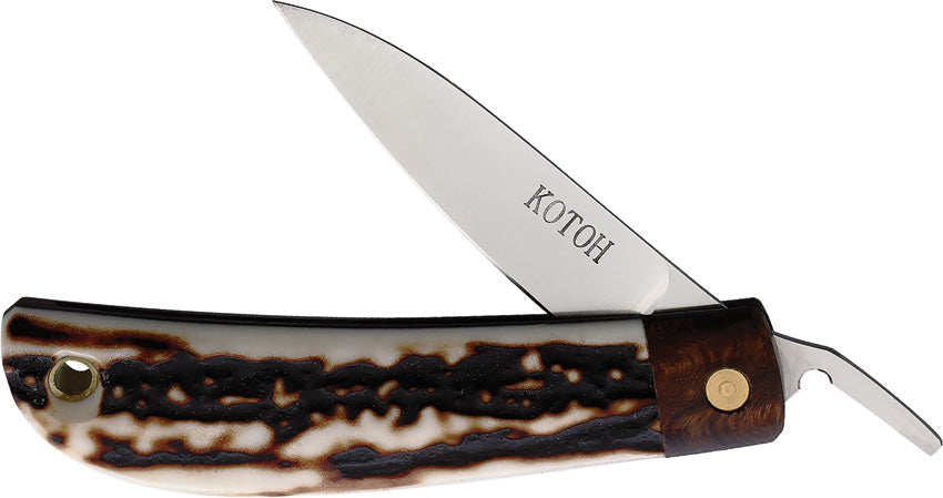 Folder Stag D2 - KOT422514