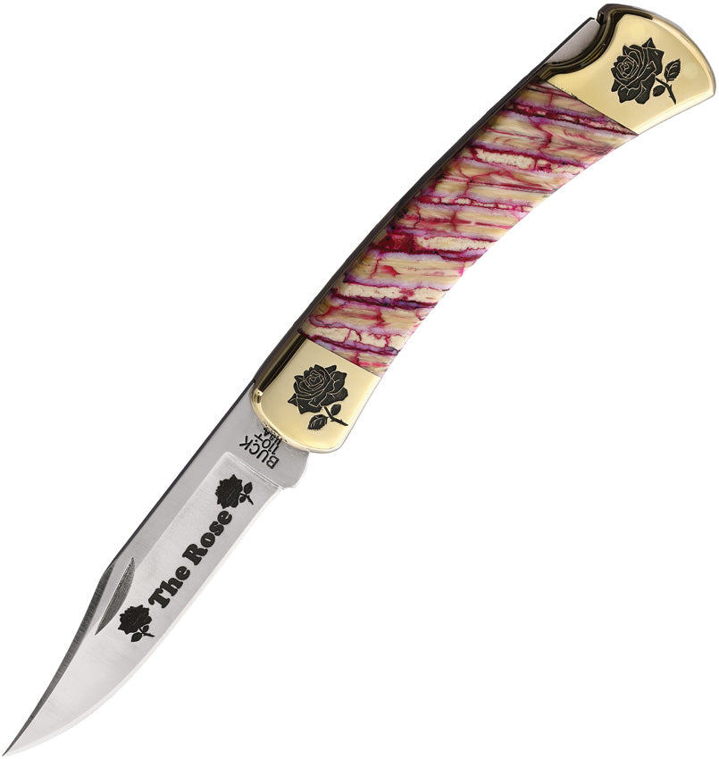 Custom Buck 110 Lockback - YH418