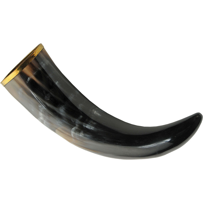 Viking Drinking Horn - PA230981