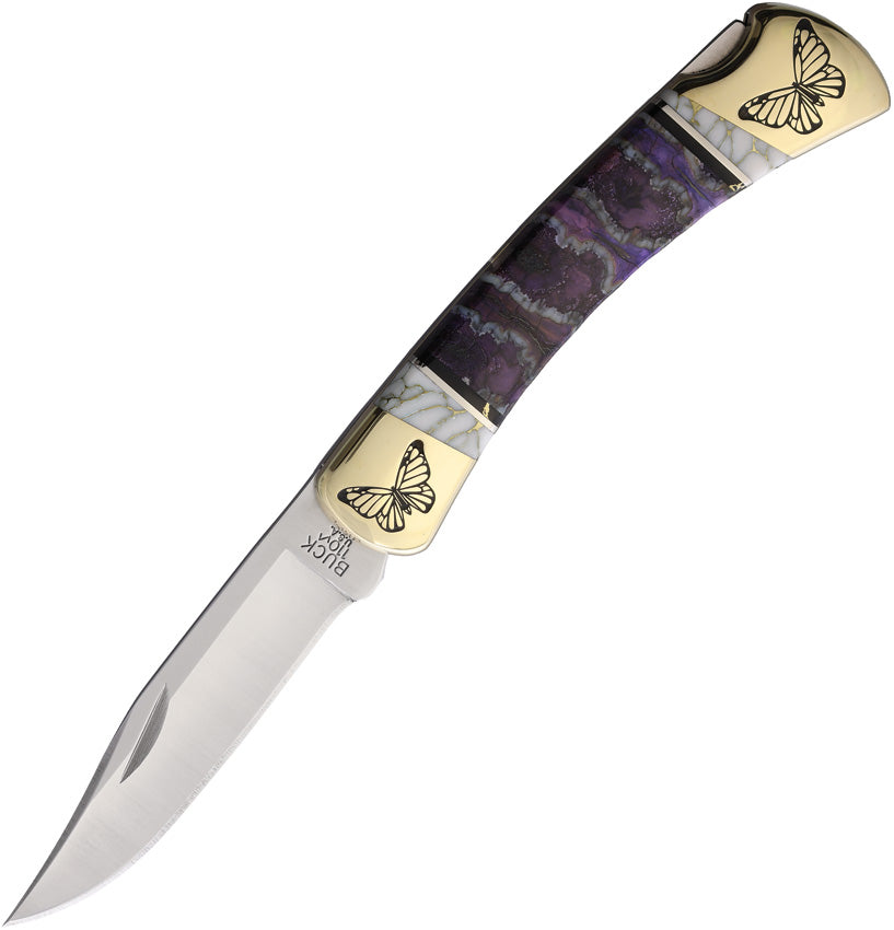 Custom Buck 110 Lockback - YH443