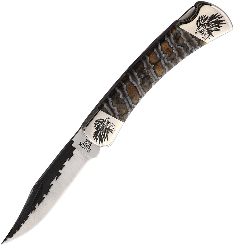 Custom Buck 110 Lockback - YH421