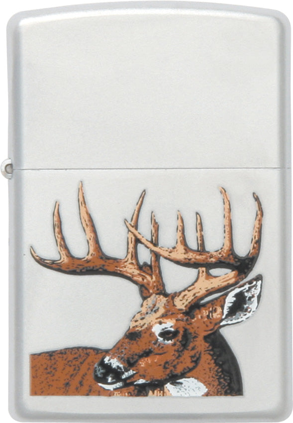 Whitetail Buck Deer - ZO23481