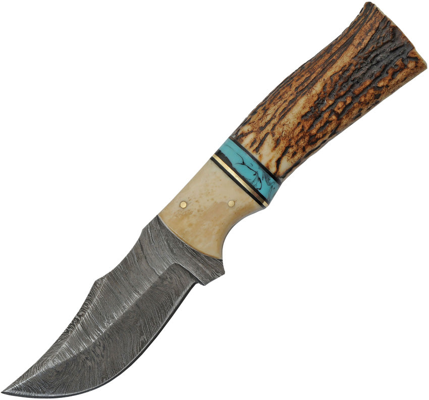 Stag and Turquoise Skinner - DM1274