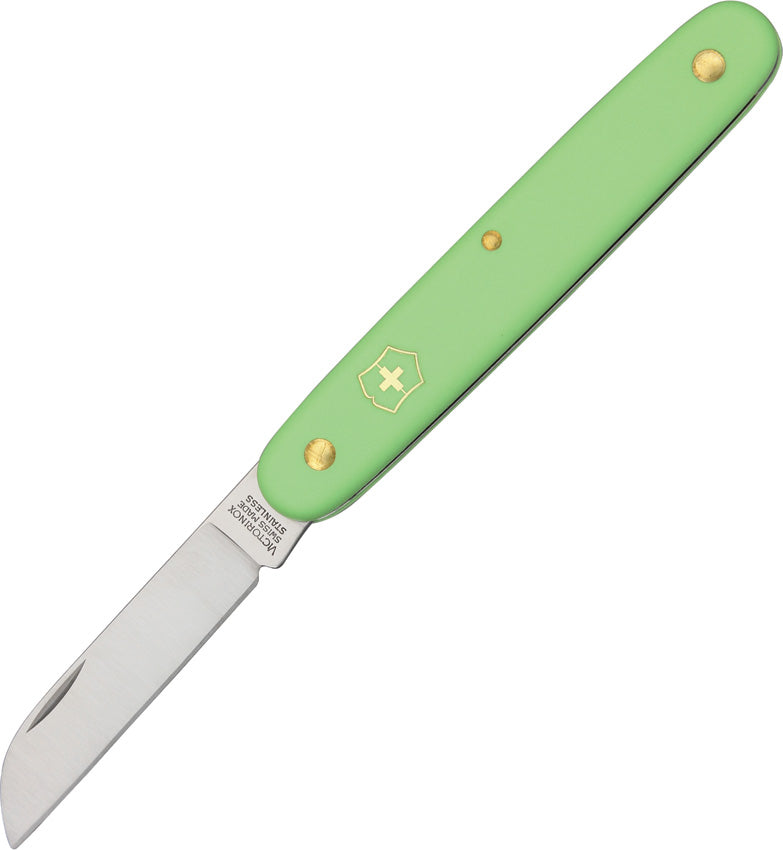 Floral Knife Green - VN3905047