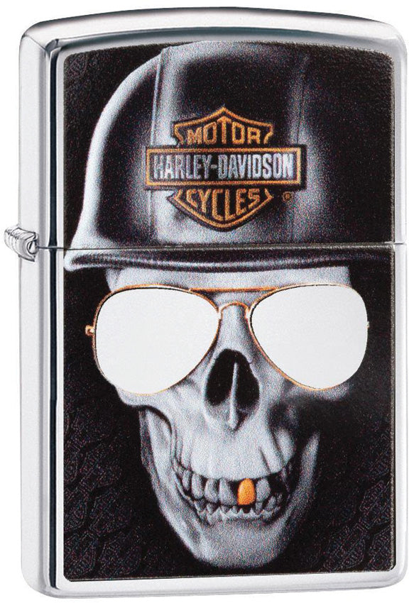 Harley Davidson Skull - ZO06740