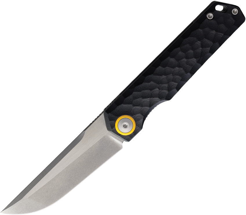 Baby Racoon V G10 - MAXMM482A