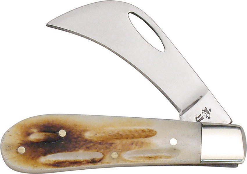 Little Hawkeye Second Bone - F14478SC
