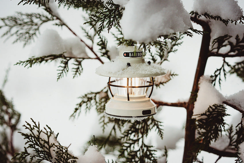 Edison Mini Lantern - BARE170