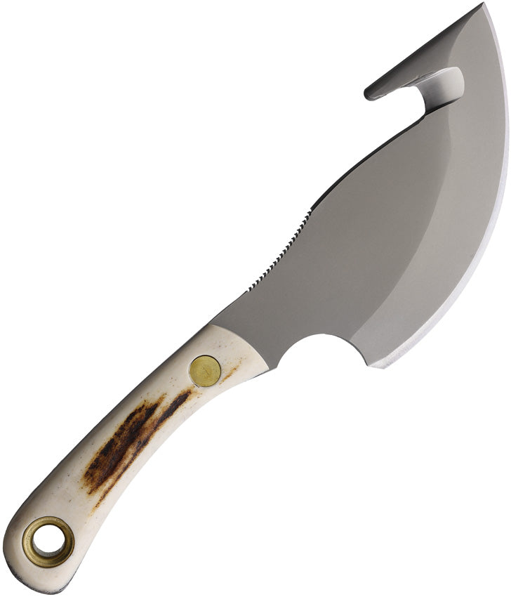 Light Hunter Stag - KOA00011FG