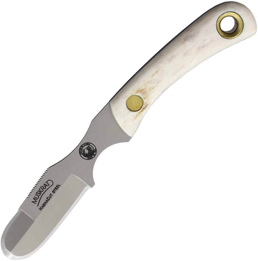 Muskrat Stag Magnacut - KOA00056FG