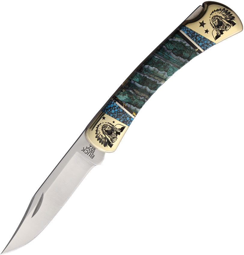 Custom Buck 110 Lockback - YH446