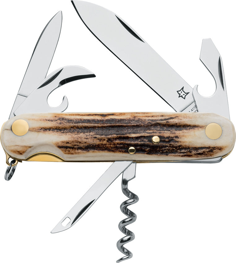 Scout Folder Stag - FOX2266CE